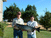 curtis[1].gif (140516 bytes)
