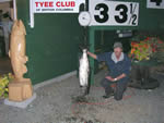 Chris Cook 33.5# Tyee